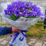 Букет «101 ирис» за 31 590 руб.